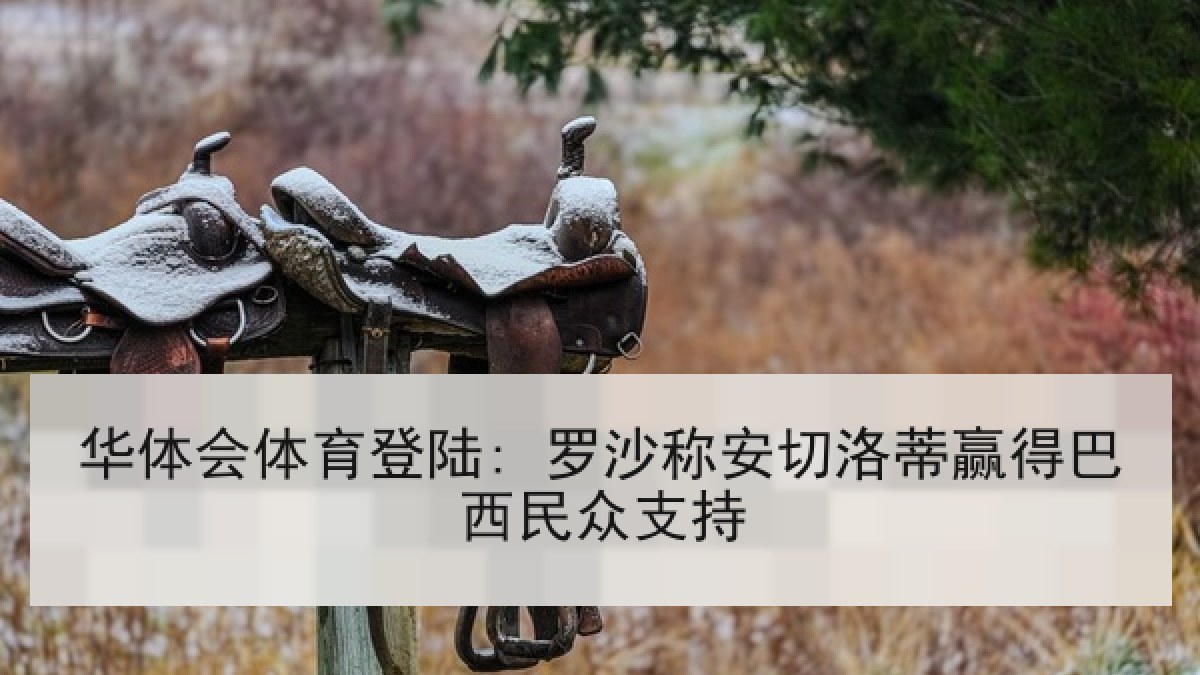 华体会体育登陆: 罗沙称安切洛蒂赢得巴西民众支持