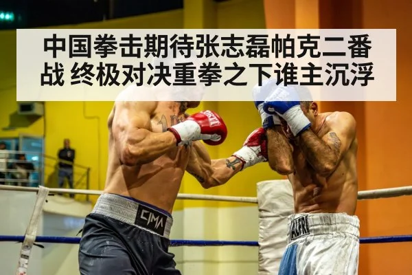 heavyweight boxer punching